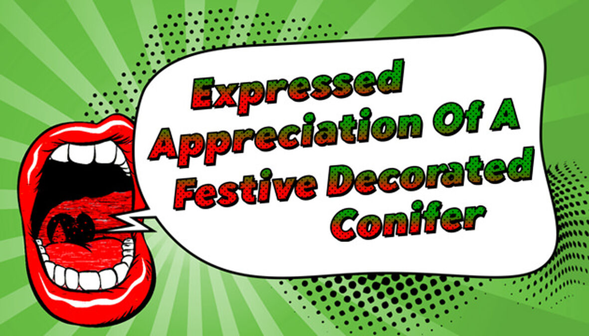 Christmas Jingle Jumble Volume 2 image number null